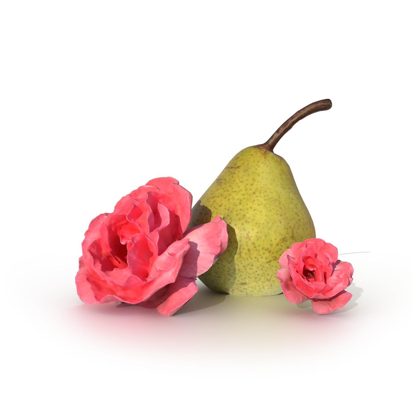 Sweet Rose